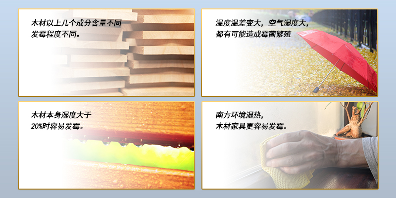 1679015354888951.jpg 2.jpg